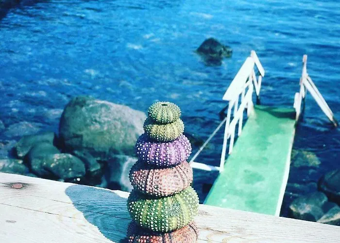 A Casa Di Edo 度假居 阿奇雷亚莱